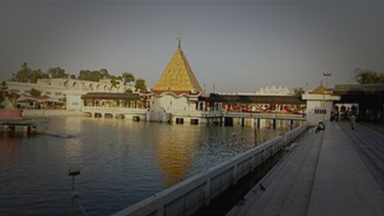 Jalandhar India skyline themed Pine Script service cover with dark market grading