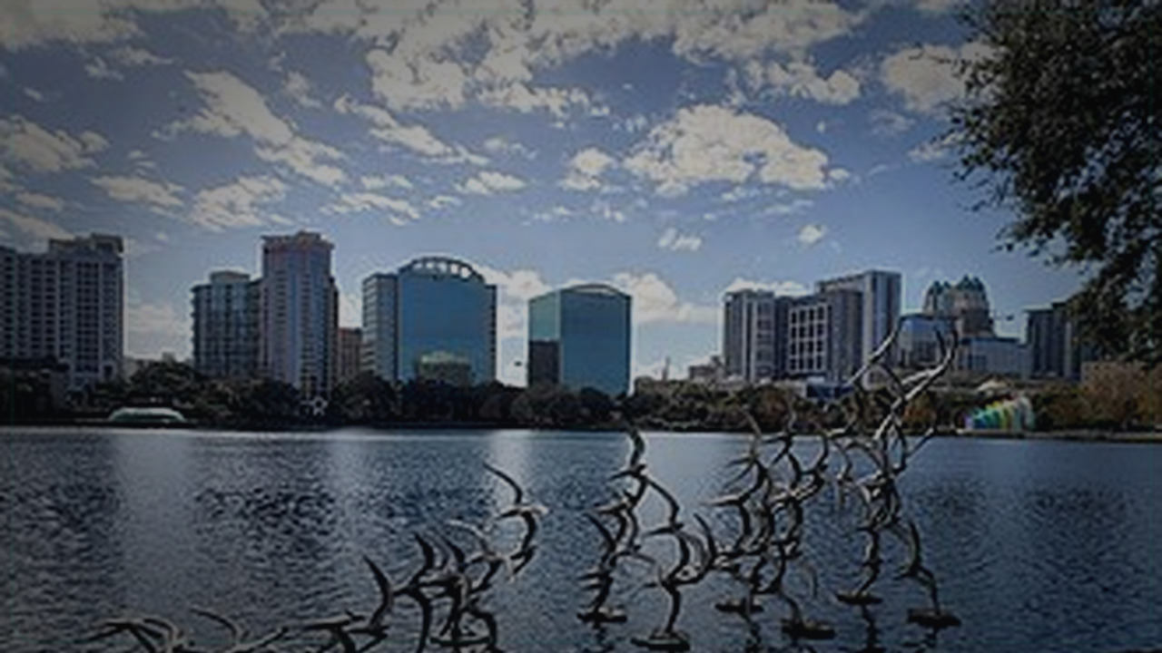 Orlando skyline themed Pine Script service cover with dark market grading