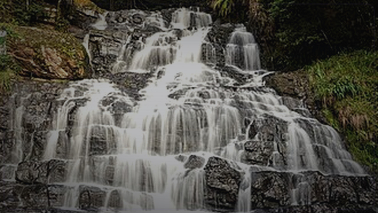 Shillong India skyline themed Pine Script service cover with dark market grading