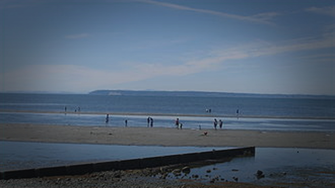 Surrey themed Pine Script service cover with dark trading visuals