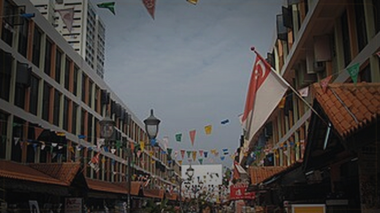 Toa Payoh Singapore themed Pine Script service cover with dark market grading